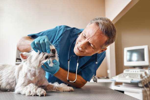 Best 24-Hour Emergency Dentist in Warsaw, NC